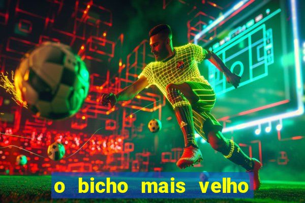 o bicho mais velho da loteria dos sonhos